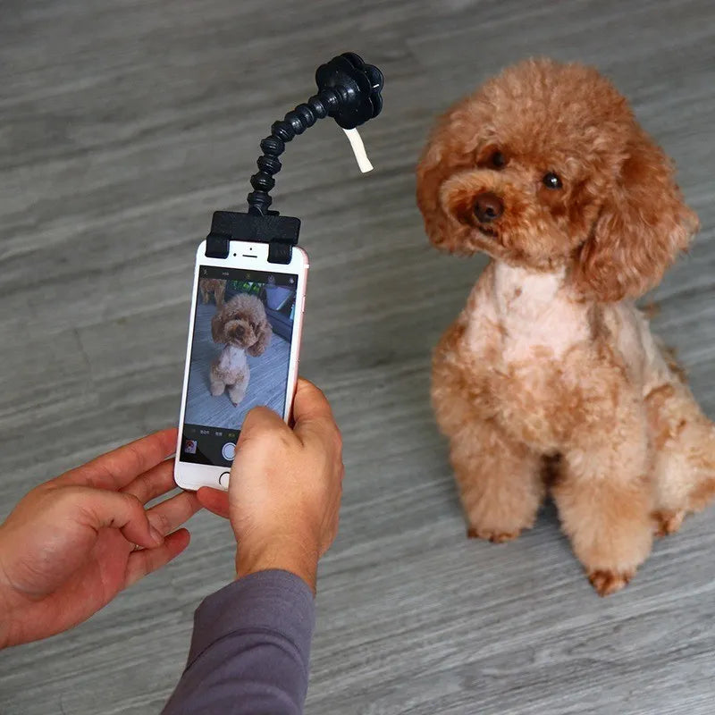 Bastão de selfie para animais de estimação, suporte para brinquedos para cães e gatos, compatível com iphone, samsung e a maioria dos smartphones, tablet, preto/branco, imagens perfeitas!